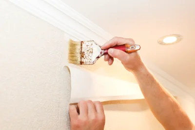 Pose de papier peint à Toudon — revêtements muraux et toiles de verre